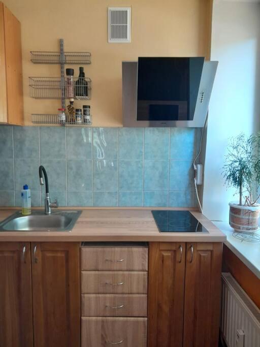 Cozy Apartamento Alūksne